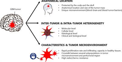 Photothermal Therapy for the Treatment of Glioblastoma: Potential and Preclinical Challenges